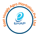 Home 11 PSPL Solar Company Profile Updated.pdf 7